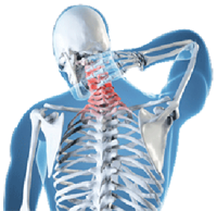 diagram of pain in the spine